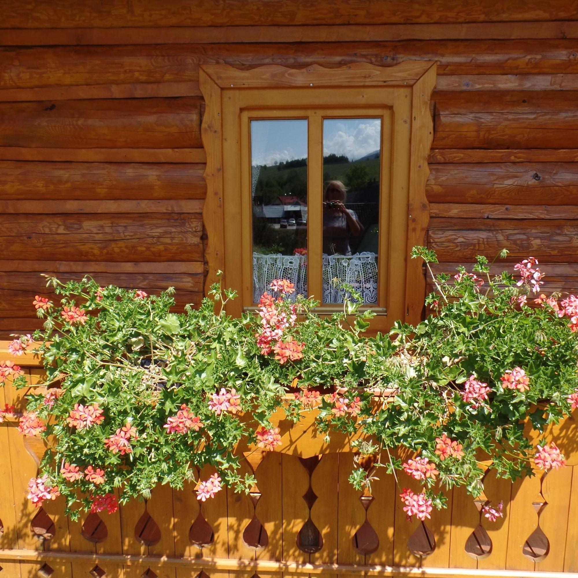 Chata Pod Belianskymi Tatrami Ždiar Exterior foto